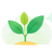 Plant Sprout